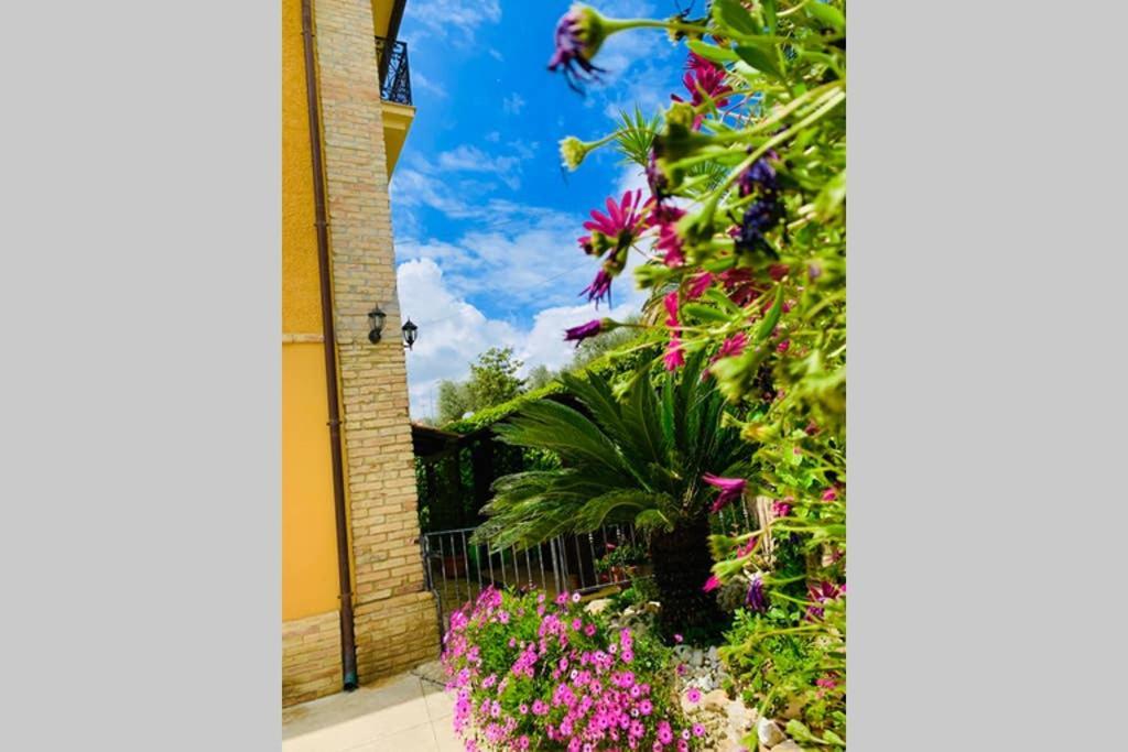Flowery House Miglianico Dış mekan fotoğraf