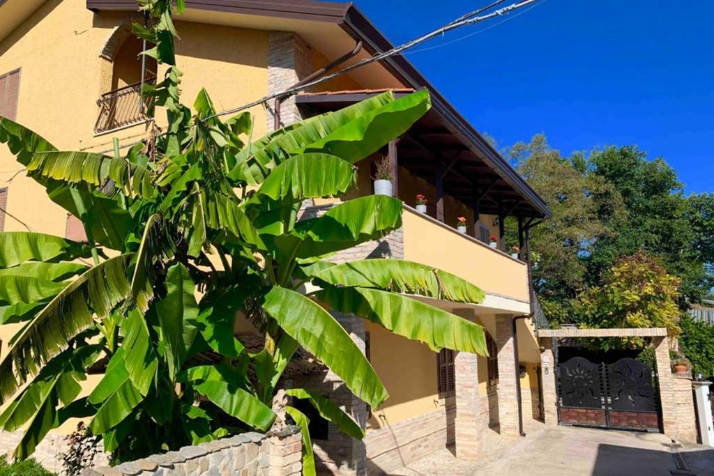 Flowery House Miglianico Dış mekan fotoğraf