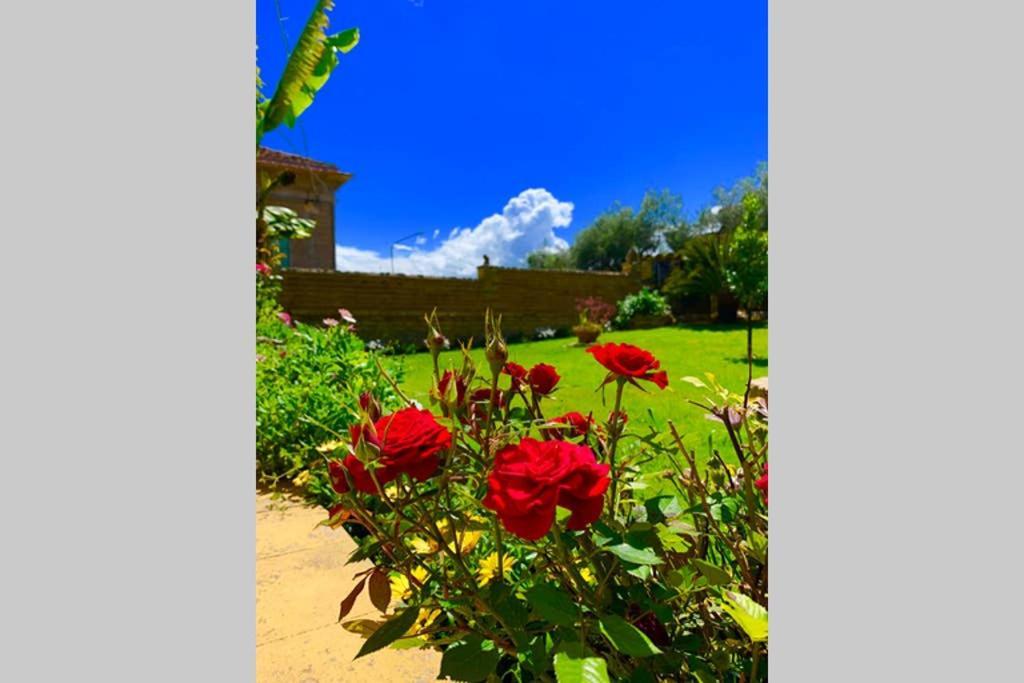 Flowery House Miglianico Dış mekan fotoğraf